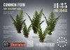 RT-Diorama 35466 Common Fern Set 1/35
